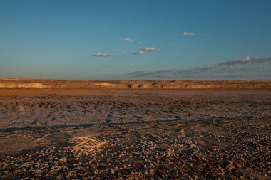 Büyük kil beach Aral Denizi ve beyaz kuru dal ön planda