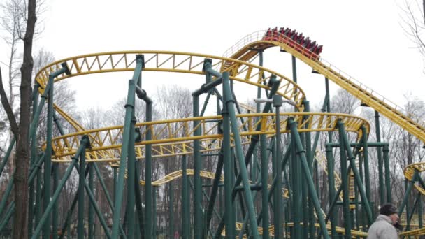 Montaña rusa en el parque — Vídeo de stock