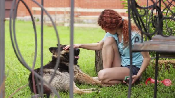 Mulher com seu belo cão descansando ao ar livre — Vídeo de Stock