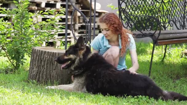 Mujer con su hermoso perro descansando al aire libre — Vídeo de stock