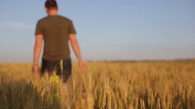 Genç adam çavdar tarlası gider