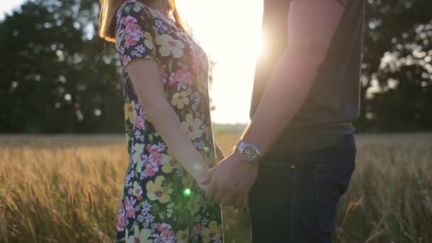 Пара обіймає, цілує, а потім ходить у широкому відкритому золотому полі на заході сонця — стокове відео