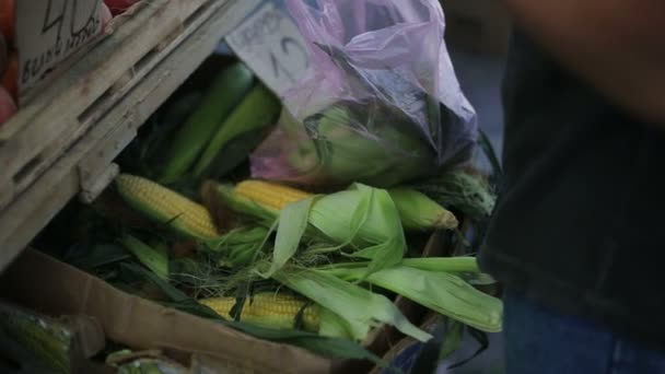 Человек покупает кукурузу на овощном рынке днем — стоковое видео