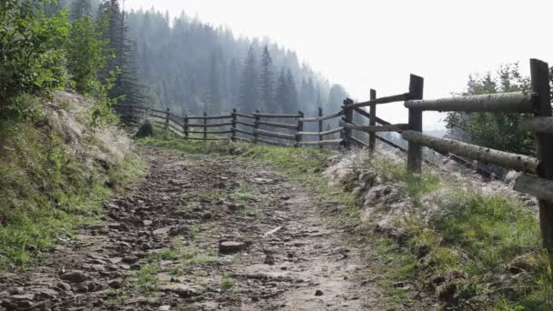 Dağlardaki yol manzarası. — Stok video