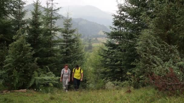 Pareja de mochileros de senderismo en el camino en las montañas — Vídeo de stock