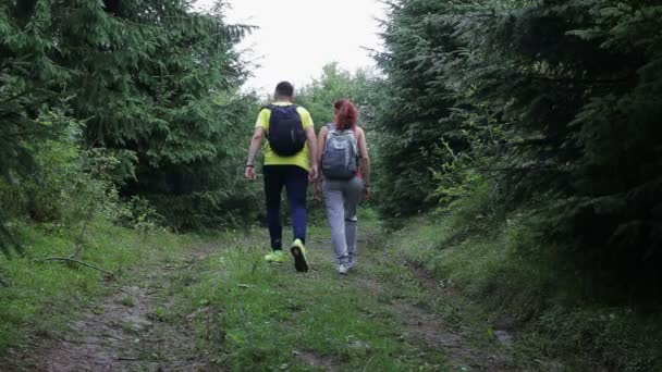 Çift Backpackers dağlarda yolda yürüyüş — Stok video