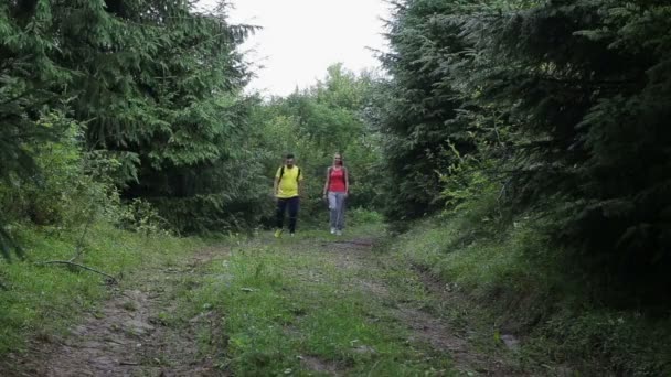 Paar Backpackers wandelen op het pad in de bergen — Stockvideo