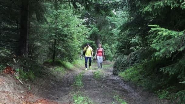 Paar Backpackers wandelen op het pad in de bergen — Stockvideo