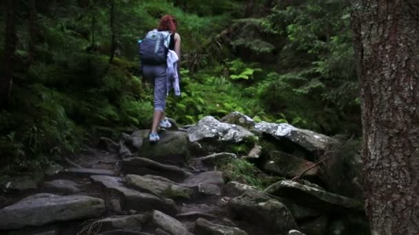 Vrouw reiziger is wandelen door de bergen en bossen — Stockvideo