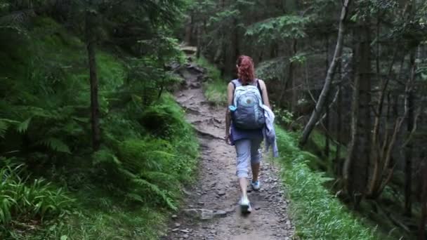 Vrouw reiziger is wandelen door de bergen en bossen — Stockvideo