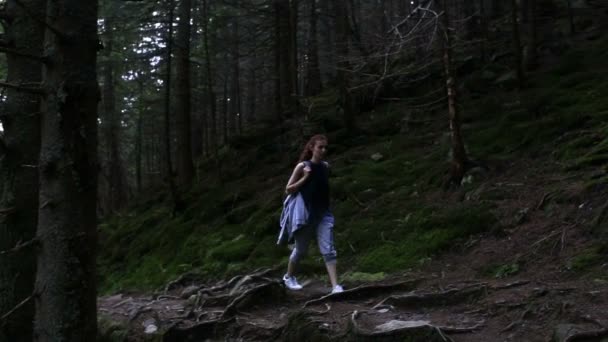 Viajero mujer está caminando por las montañas y bosques — Vídeo de stock