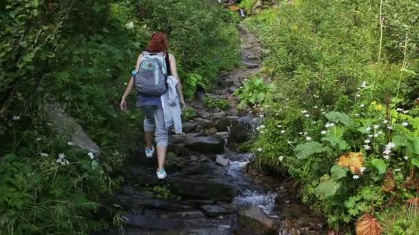 Пішохідна жінка з рюкзаком, що йде по лісовій стежці в горах на фоні водоспаду. Походи в гори. Пригоди в лісі . — стокове відео