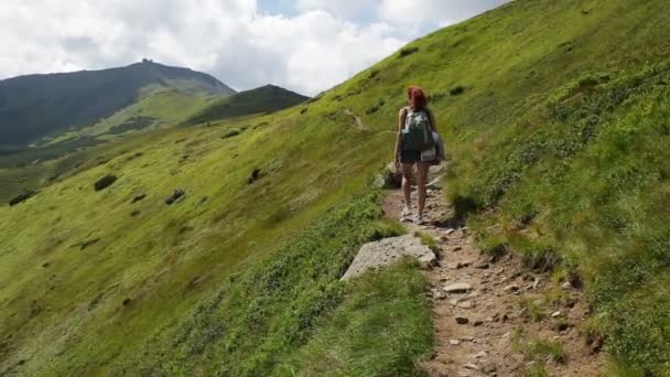 Vrouw reiziger is wandelen door de bergen en bossen — Stockvideo