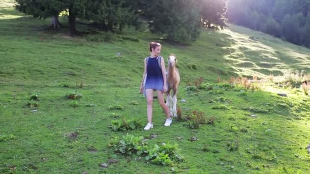 Mulher viajante nas montanhas brincando com potro — Vídeo de Stock