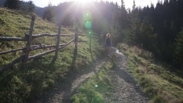 Mulher viajante está caminhando pelas montanhas e florestas — Vídeo de Stock