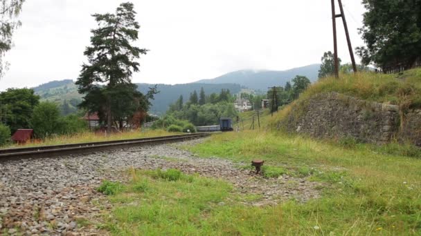 Voyage en train de voyageurs dans les montagnes sur un viaduc — Video