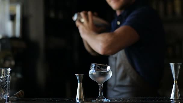 As mãos do barman sacodem um coquetel alcoólico — Vídeo de Stock