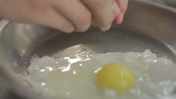 Chef-kok fry een ei-keuken — Stockvideo