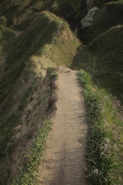 Güzel, güneşli, vahşi manzaralar, aile ve arkadaşlarla yürümek ve dinlenmek için bir yer, tepeli ve ormanlı doğa, uzay ekosistemi.