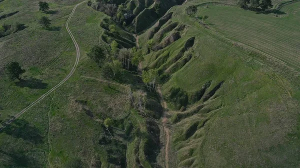 Değişik arazi manzarası, manzara ve doğa çizgileri, bitki örtüsü temasının arka planı ve dokusu, aktif yaşam tarzı