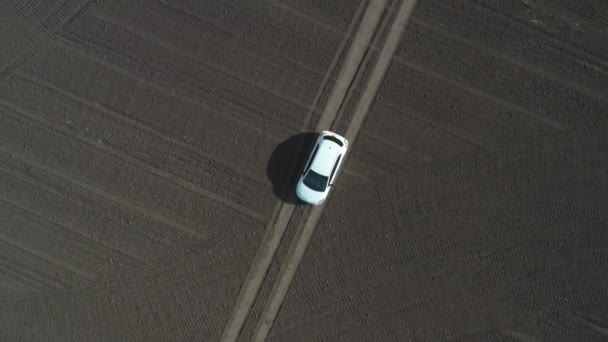 Blick Von Oben Auf Einer Schmalen Straße Ein Weg Ist — Stockvideo