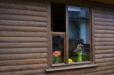 Bahar çok renkli çiçekler