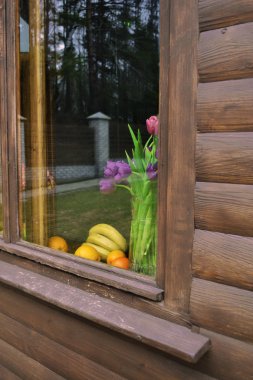 Bahar çok renkli çiçekler