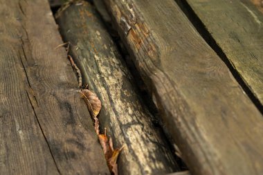 Yağmur sırasında ıslak ahşap zemin, soyut arkaplan, sığ alan derinliği