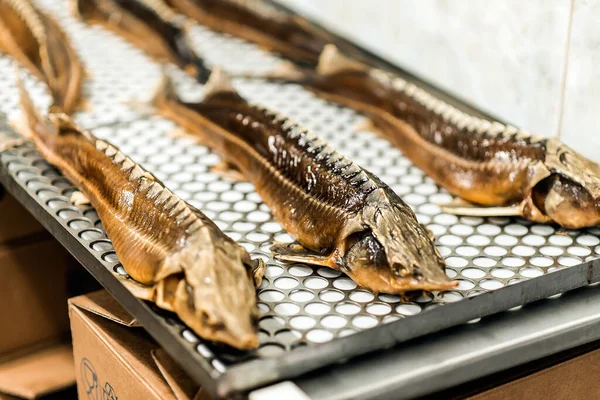 Smoked fish sturgeon and carp, horizontal background — Stock Image Smoked Fish Sturgeon Carp Horizontal Background Stock Photo