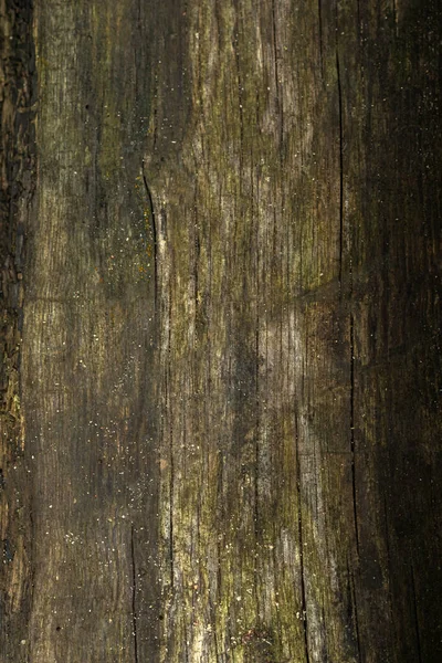 나무로 바닥을 추상적 배경과 들판의 깊이를 놓는다 — 스톡 사진