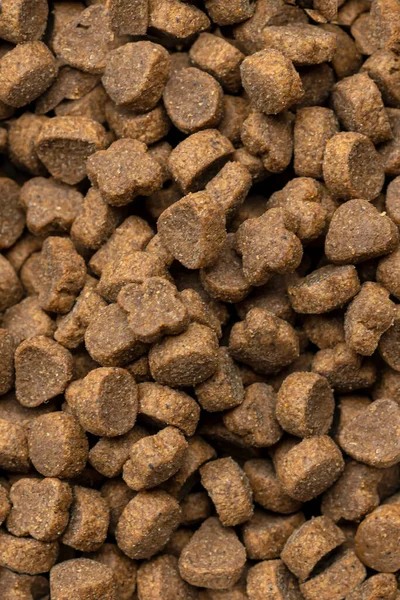 Köpekler için evcil hayvan yemi, geçmişi olan kediler.