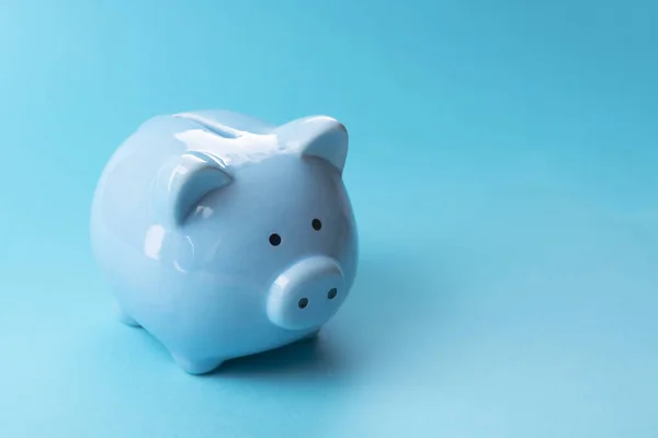 Blue piggy bank. On a blue background. Place for your text.
