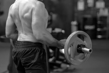 Vücut geliştirici, spor salonunda halter tutan bir adam. Vücut geliştirme pazıları spor salonunda. Boşluğu kopyala, metin için yer.