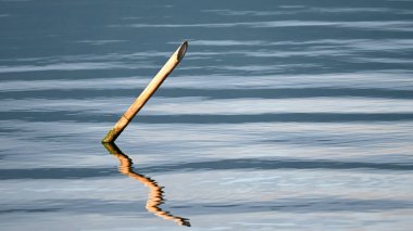 Tek Bambu Direği Gün Batımında Yansıma ile Sakin Göl Suyunda Sıkıştı