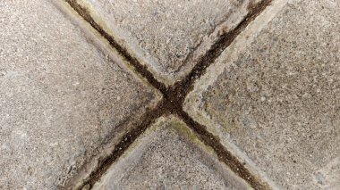 Çapraz Yosunlu Beton Asfalt Blokların Üst Görünümü - Minimalist Kentsel Doku