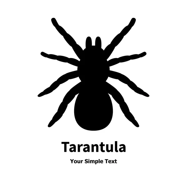 Vector illustration of a black spider tarantula — Stock Vector