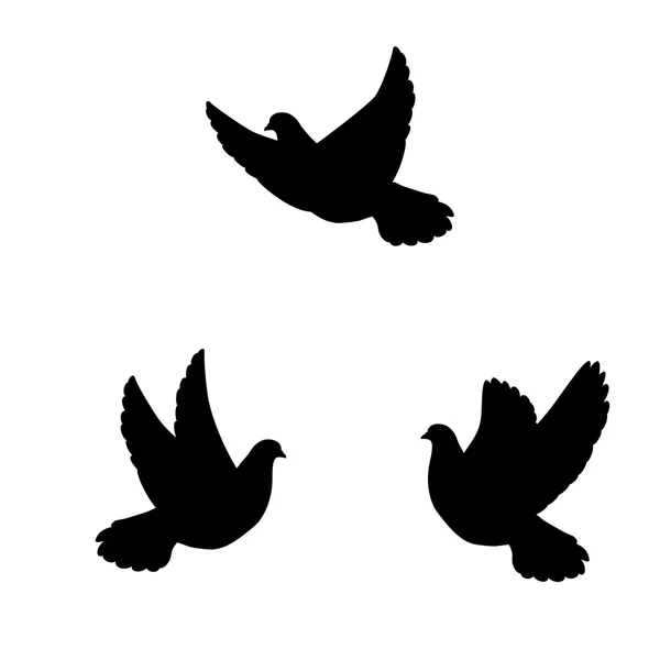 Sílhueta isolada pombos voadores — Vetor de Stock