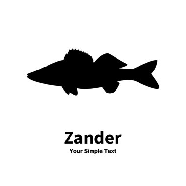 Zander vektör çizim silueti