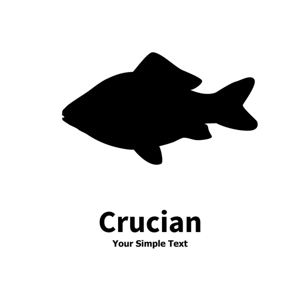 Ilustración vectorial silueta de la carpa cruciana — Vector de stock