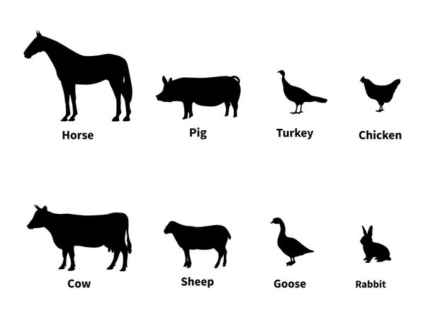 Silhouettes set of livestock — Stock Vector