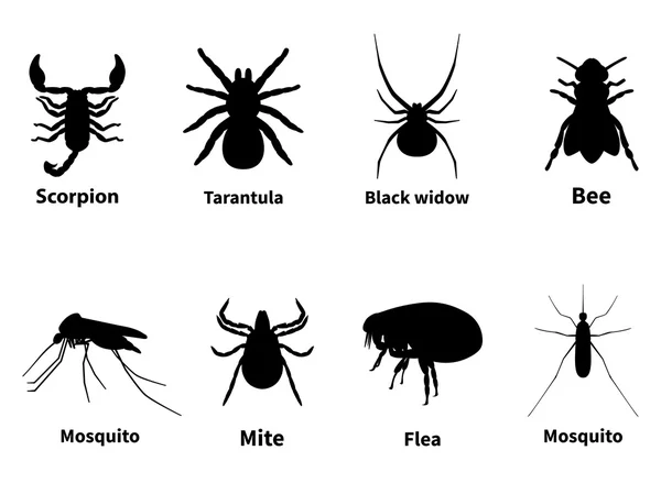 Silhouetten van schadelijke stekende insecten — Stockvector