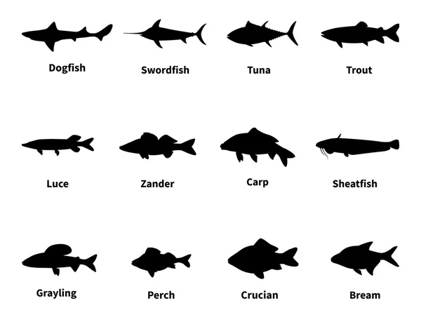 Silhueta de peixe com uma inscrição —  Vetores de Stock