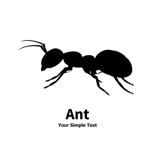 Vector illustration silhouette of ant — Stock Vector