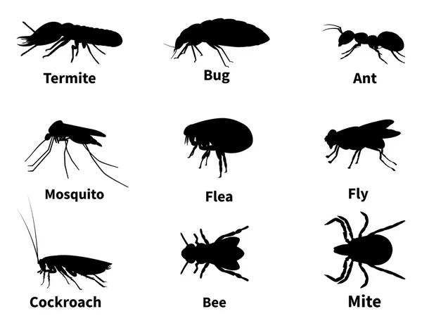 Vector illustration silhouettes of insects — Stock Vector