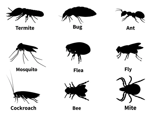 Vector εικονογράφηση σιλουέτες των εντόμων — Διανυσματικό Αρχείο