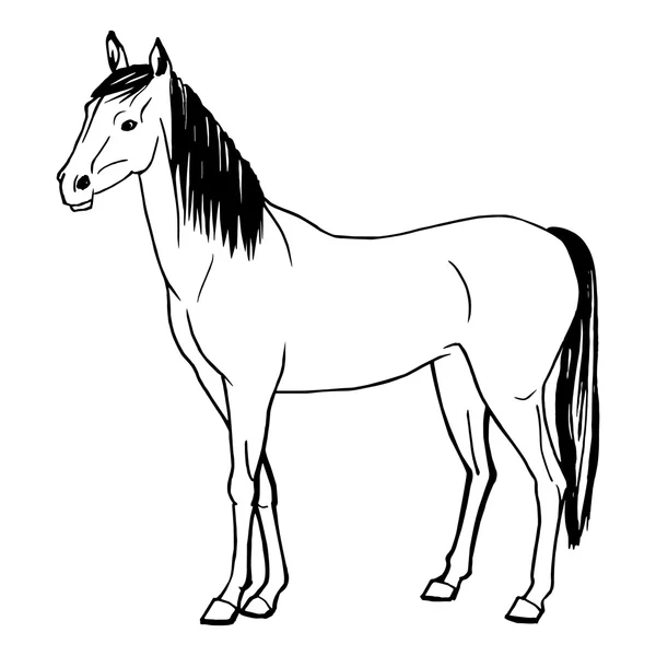 Ilustración vectorial de un caballo pintado a mano — Archivo Imágenes Vectoriales