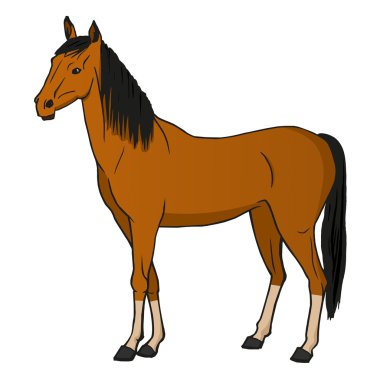 Vector illustration horse vector