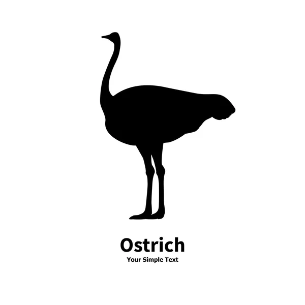 Vector illustration of black silhouette of ostrich — Stock Vector