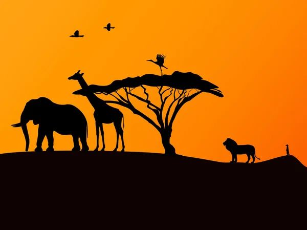 Coucher de soleil africain et animaux — Image vectorielle