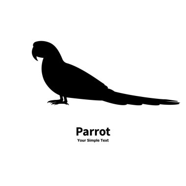 Vektör illüstrasyon siluet bir papağan